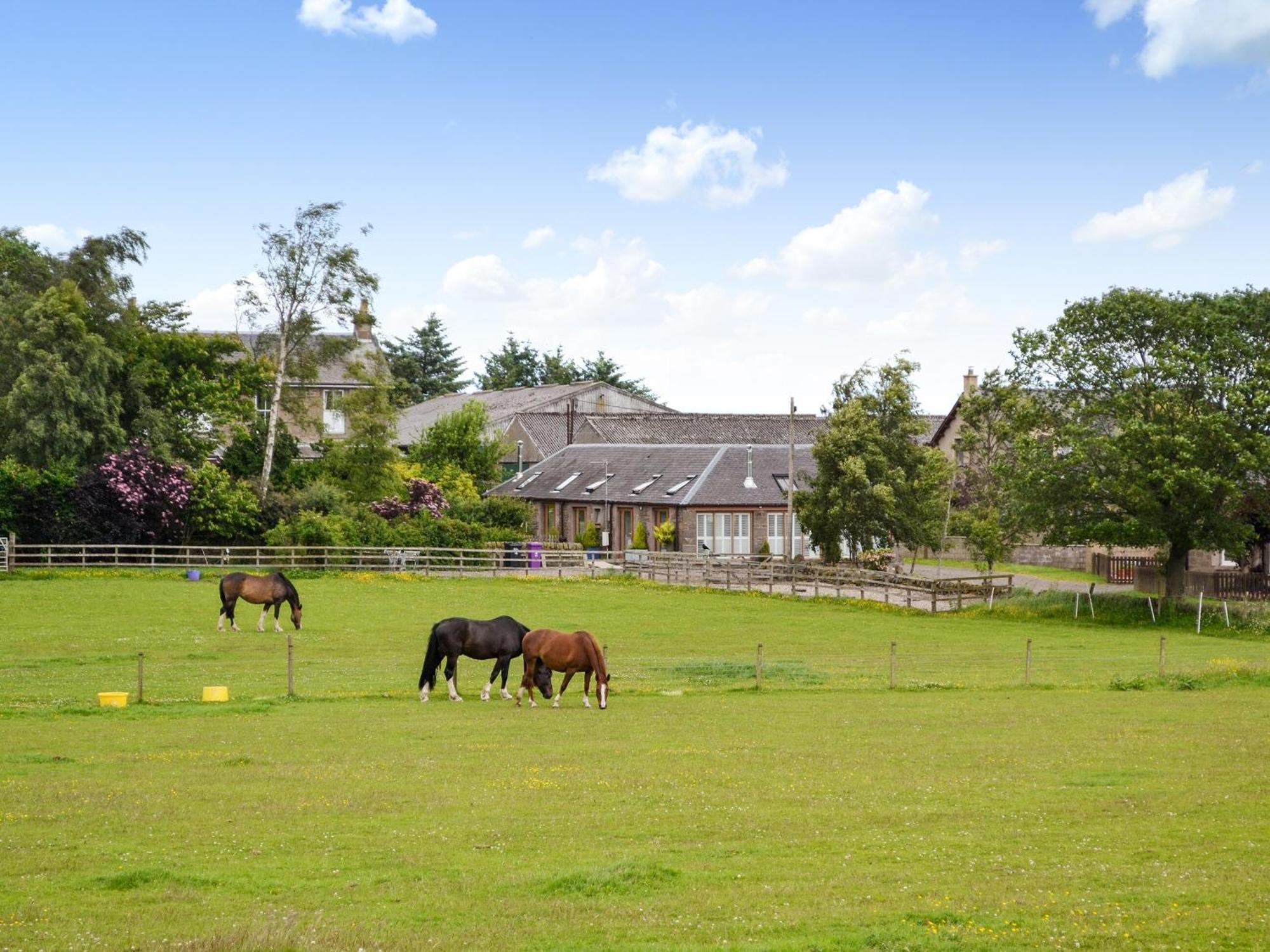 Appletree Cottage Kirkton of Tealing Экстерьер фото