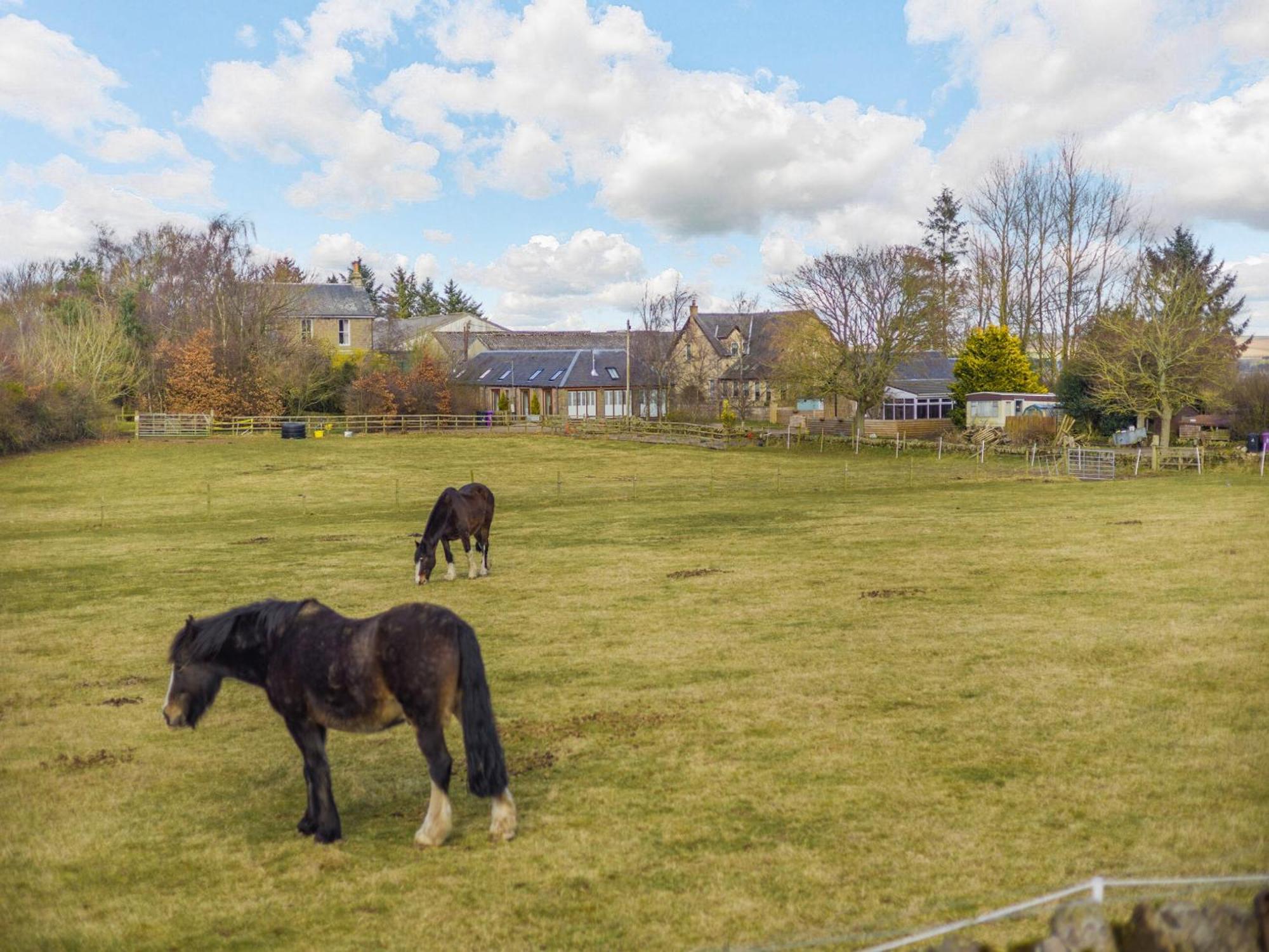 Appletree Cottage Kirkton of Tealing Экстерьер фото